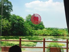 -鹅湖玫瑰文化园