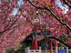 -石岛赤山风景区