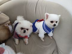 -怪兽屋·羊驼·猫咖·狗咖(俊华广场店)