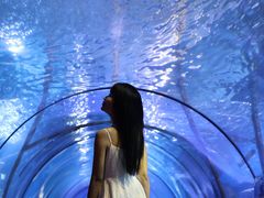 -太平洋海底世界