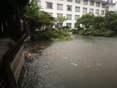 -苏苑饭店-中餐厅(长桥地区店)