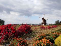 -北纬44度·金珠花海休闲农业旅游景区