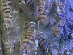 -钱塘府海鲜餐厅