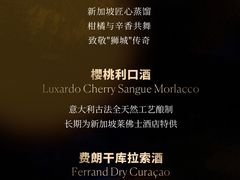 -Long Bar(莱佛士酒店)