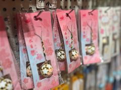 -猫的天空之城概念书店(北戴河蔚蓝海岸店)