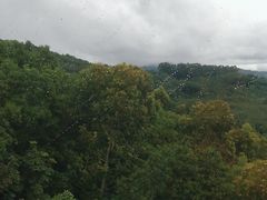 -呀诺达热带雨林