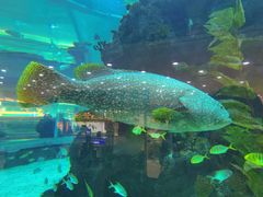 -鸿通城购物中心