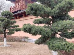 -习家池
