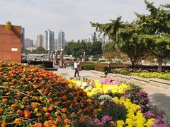 -西北湖绿化广场