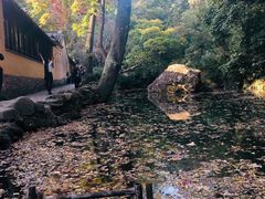 -大龙辣火锅·龙虾·烧烤(湖滨新天地店)