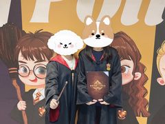 -谜盒子奇幻密室(南屏店)