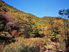 -三块石国家森林公园