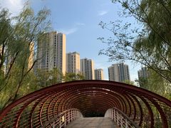 -南翔镇银翔湖公园