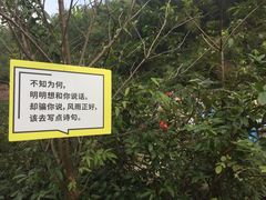 -宁波浙东大竹海景区