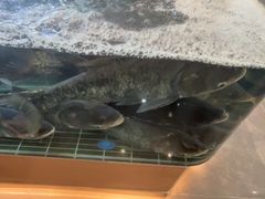 -小山寨(天润城店)