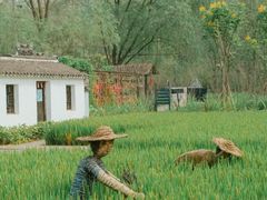 -溱湖国家湿地公园