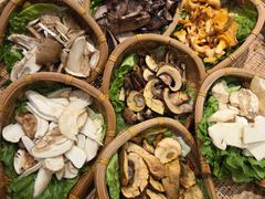 -滇野云南野生菌餐厅(陕西南路店)