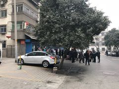 -刘老虎肉丸糊辣汤(总店)