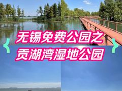 -贡湖湾湿地公园