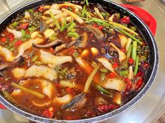 石锅鳝鱼-乐氏荤豆花