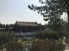 -武清南湖绿博园