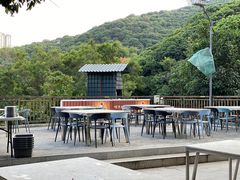 -鲤鱼塘农家山庄