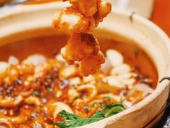 八爪鱼-金龙·打边炉(武进路店)