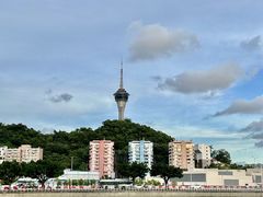 -澳门环岛游湾仔码头