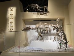 -国家自然博物馆