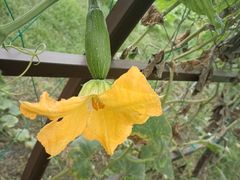 -中国天府农业博览园