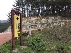 -木兰云雾山