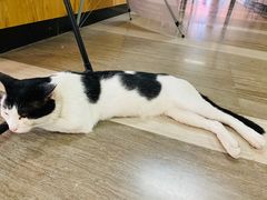 -JAMROCK 乐啡意咖啡