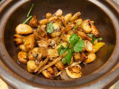 -同庆楼(滨湖万达广场店)