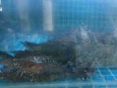 -鼓歌海鲜舫·手抓海鲜(大学城店)