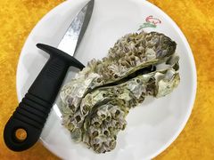 -蚝专家(北滘店)