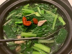 水浸瘦肉煲时蔬-汤城小厨•粤菜•靓汤(苏州街店)