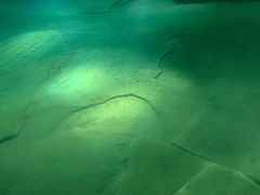 -白鹤梁水下博物馆