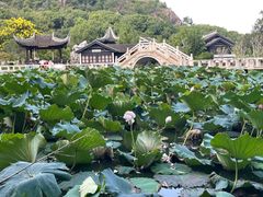 -灵岩山风景区