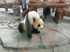 -泉州海丝野生动物世界