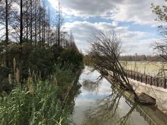 -上海长兴岛郊野公园