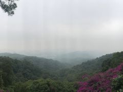 -白云山索道-售票处