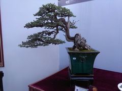 -重庆市江北嘴中央商务区中央公园