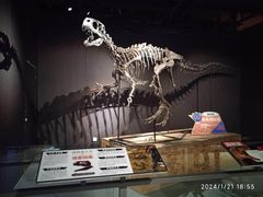 -正佳自然科学博物馆