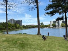-美兰湖景区