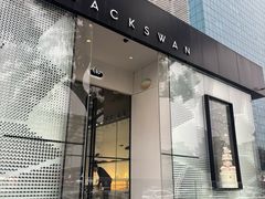 -BLACKSWAN黑天鹅(环球店)