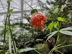 -南通洲际绿博园