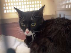 -博特宠物医院24h犬猫全科.骨科·异宠