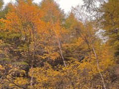 -苏木山森林公园