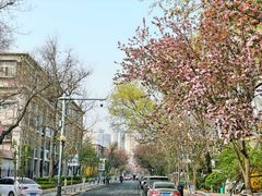 -天津五大道文化旅游区