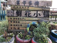 -空港花田景区